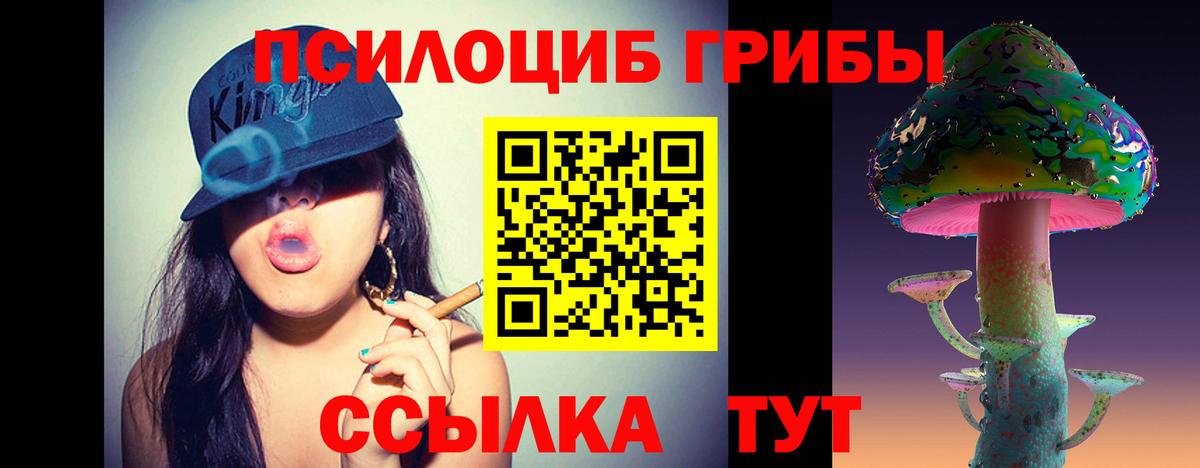 Галлюциногенные грибы мицелий Унеча
